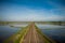 Vercelli rice fields