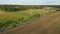 Verdant Countryside: Aerial View of a Lush Field with a Winding Road