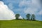 Verdant meadows on the hill and in the background blue sky and white clouds