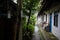 Verdant narrow alley between dilapidated houses