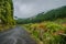 Verdant natural landscape with wooden fence and fog over the mountains at Pico da Vara, SÃ£o Miguel - Azores PORTUGAL