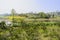 Verdant orchard near pond in sunny spring