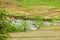 Verdant Rice Paddy Landscape. Rural Tranquility of Paddy Fields