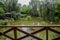 Verdant summer outside handrail by pond