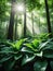 Verdant Symphony Sunlit Forest and Lush Green Leaves.AI Generated