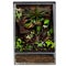 Verdant Terrarium with Diverse Plants and Textured Landscape