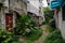 Verdant unpaved alleyway between dilapidated dwelling buildings