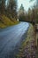 Verdant Vistas: Scenic Route Along the Winding Highway Through Forest Canopy.