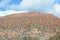 Verde Canyon Wall Abstract - Northern Arizona