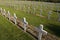 Verdun memorial cemetery