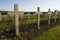 Verdun memorial cemetery