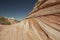 Vermilion Cliffs National Monument, White Pocket, Arizona USA