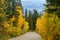Vermilion Lakes Road in autumn foliage season sunny day. Banff National Park, Canadian Rockies.