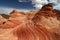 Vermillion Cliffs Trekking