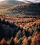 Vermont Autumn Scenic View