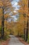 Vermont path in Autumn