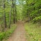 Vermont trail brattleboro/dummerston