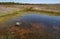 Vernal Pool and Wildflowers on the Table Rocks in Oregon