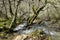 Vernal water stream of Nebrodi Park, Sicily