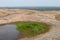 Vernal or Zen pools at the Enchanted Rock State Park Texas