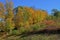 Vernon Autumn Foliage Colors -02