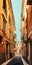 VERONA, ITALY - AUGUST 17, 2017: Narrow street of Verona high vibrant building facades.