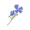 Veronica chamaedrys, wild herbal flower. Bird s eye speedwell, floral herb. Blooming field plant. Botanical flat vector