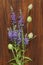 Veronica long-leaved violet color lies on a wooden background of