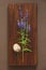 Veronica long-leaved violet color lies on a wooden background of black walnut. Beautiful summer wildflowers and snail, grape snail