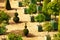 Versailles garden with citrus in planters, France