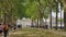 Versailles, PARIS, FRANCE- August 2018: Wide boulevard park near the palace-museum. A crowd of multiracial tourists walk