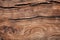 Versatile file of bark wood texture for various background uses.