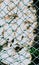 VERTICAL abstract close-up macro real photo beautiful wallpaper. Fisherman rope net texture fiber surface pattern