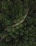 Vertical aerial shot of a car riding through a road in the forest with tall green dense trees