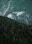 Vertical aerial shot of dense forests of evergreen trees on a mountainside