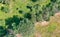 Vertical aerial view of a diagonal row of trees and bushes of different sizes next to a meadow with a country lane