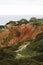 Vertical aerial view of lush green vegetation on steep seaside cliffs