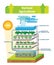 Vertical agriculture environment scheme vector illustration. Fish and soil.