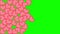 Vertical animation Red icons falling on a green background Chromakey. Counting likes, social media pouring a lot of