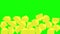 Vertical animation of slices of yellow falling cheese. green background chromakey