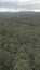 Vertical arial video of dense forest and cloudy sky in the background