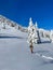 VERTICAL: Athletic female snowboarder snowshoes up a snowy hill to ride powder.