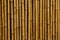 Vertical bamboo background