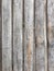 Vertical bamboo line background