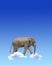 Vertical banner with elephant above clouds
