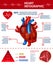 Vertical Banner with Heart Infographic, Statistic