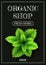 Vertical banner with a realistic mint on coated chalk background. Fresh herbs, popular culinary plants, natural health