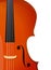 Vertical Banner with Violin, Cello for music concert or festival, symphony performance. Vector wallpaper.