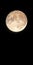 Vertical banner or wallpaper with golden moon. The full moon is a vertical background with copy space for your text or image.