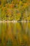 VERTICAL: Breathtaking view of forest with turning leaves reflected in the lake.